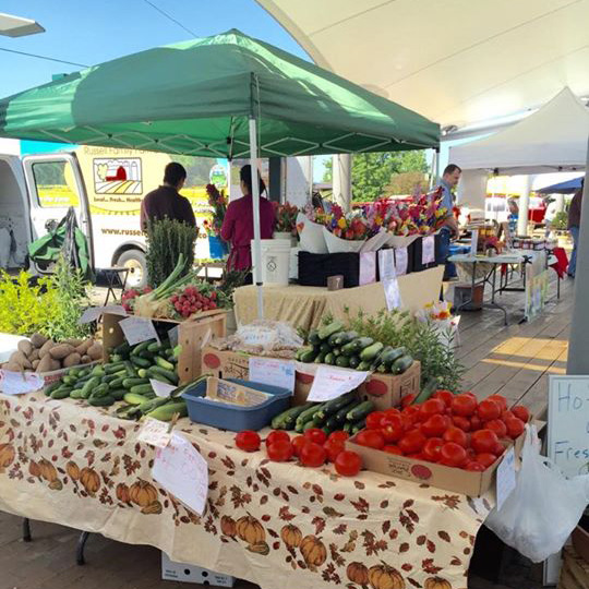 Fresh Produce at the Market